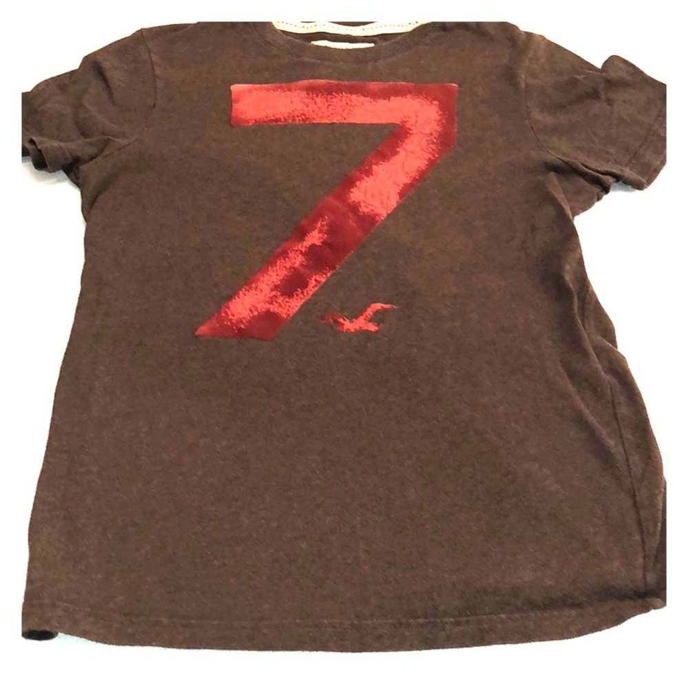 Dark brown Hollister t-shirt